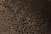 Hupa%20artist%2C%20%3Cb%3E%3Ci%3E%20Mush%20Bowl%3C%2Fi%3E%3C%2Fb%3E%2C%20ca.%201920%2C%20conifer%20root%20and%20beargrass%2C%20Gift%20of%20Mrs.%20Ferdinand%20C.%20Smith%20and%20Mr.%20L.%20Hawley%20Hoffman%2C%20no%20known%20copyright%20restrictions%2C%2043.1.28